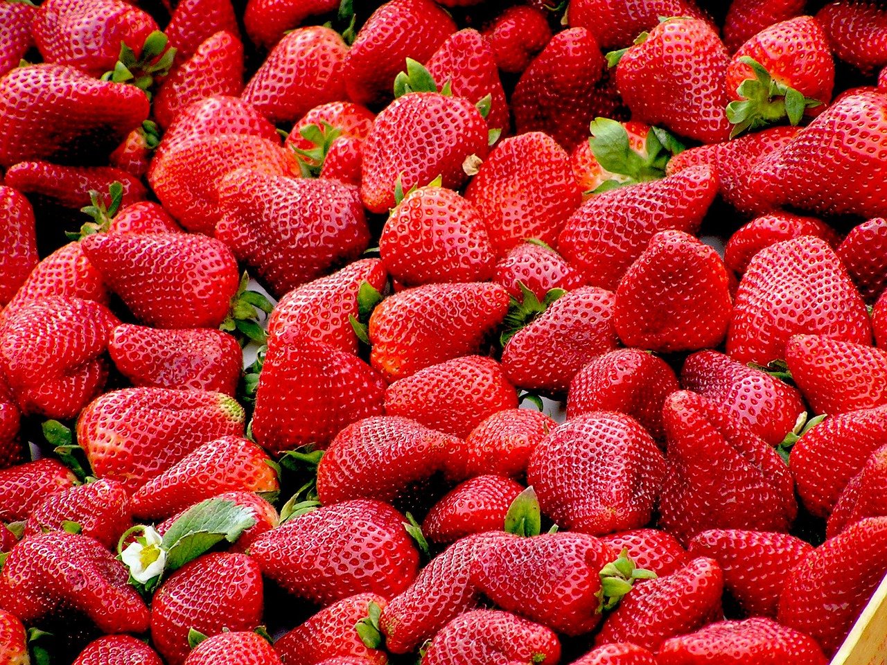 hd wallpaper, strawberries, fruit-99551.jpg